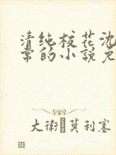 清纯校花沈柔日常的小说免费阅读封面