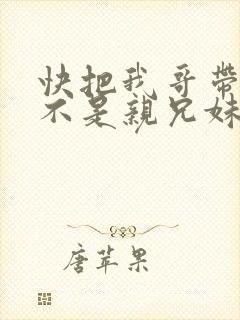 快把我哥带走是不是亲兄妹封面