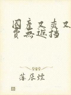 国产又爽又黄免费无遮挡