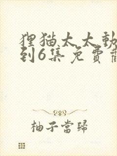狸猫太太动漫1到6集免费观看