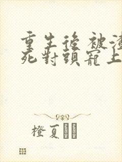 重生后 被渣男死对头宠上天