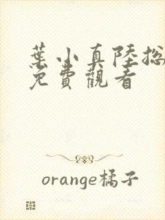 叶小真陆总短剧免费观看