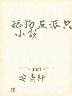 舔狗反派只想苟 小说