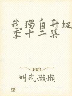 我独自升级第二季十二集封面