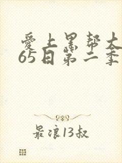 爱上黑帮大佬365日第二季