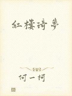 红楼琦梦封面