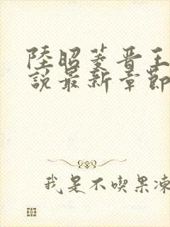 陆昭菱晋王的小说最新章节