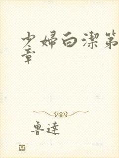 少妇白洁第30章