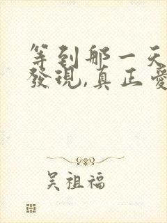 等到那一天你会发现,真正爱你的人封面