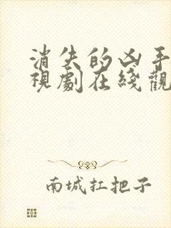 消失的凶手 电视剧在线观看