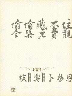 偷偷藏不住动画全集免费观看