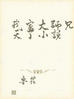 我家大师兄太逆天了小说封面