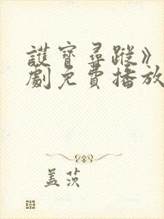 护宝寻踪》电视剧免费播放全集