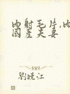 内射毛片,内射国产夫妻封面