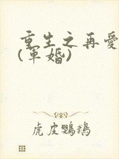 重生之再爱一次(军婚)