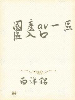 国产av一区二区入口