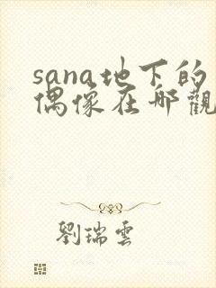 sana地下的偶像在哪观看