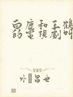 白鹿和王鹤棣演的电视剧叫什么