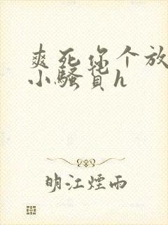 爽死你个放荡的小骚货h封面