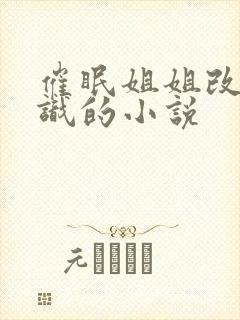 催眠姐姐改变常识的小说封面