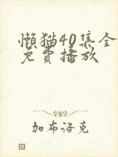 懒猫40集全部免费播放