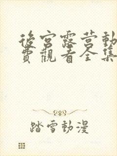 后宫露营动漫免费观看全集完整版封面