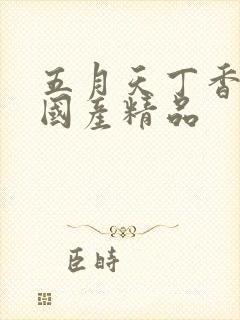 五月天丁香婷婷国产精品