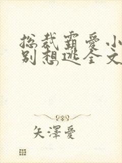 总裁霸爱小娇妻别想逃全文免费阅读