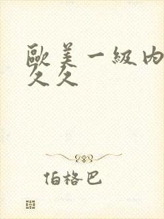 欧美一级内射久久久