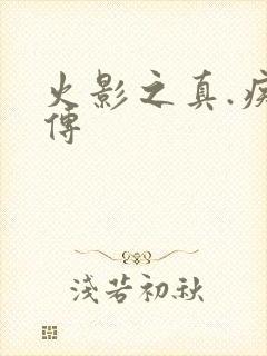 火影之真.疾风传