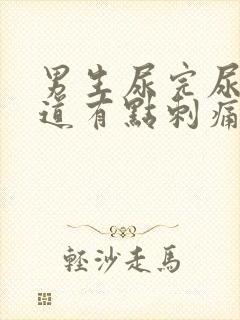 男生尿完尿后尿道有点刺痛怎么办