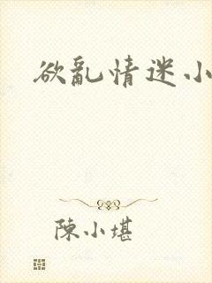 欲乱情迷小说封面