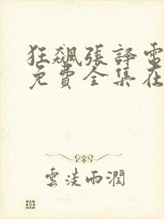 狂飙张译电视剧免费全集在线观看