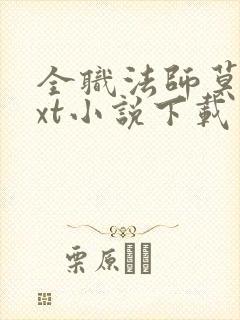 全职法师莫凡txt小说下载