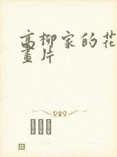 高柳家的花嫁动画片封面