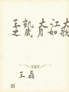 王凯 大江大河之岁月如歌