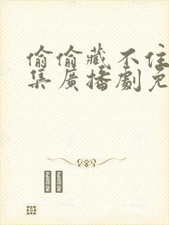 偷偷藏不住18集广播剧免费听