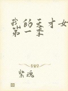 我的天才女友 第一季