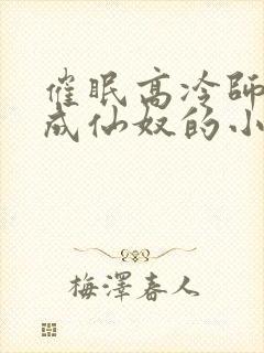 催眠高冷师姐变成仙奴的小说