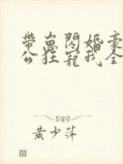 带崽闪婚豪门老公狂宠我全集免费观看封面