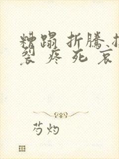 糟蹋 折腾 撕裂 疼 死 哀求