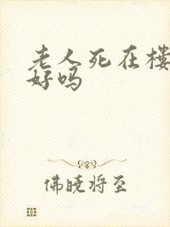 老人死在楼房里好吗封面