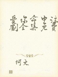 爱你命中注定短剧全集免费观看封面