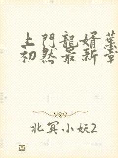 上门龙婿叶辰萧初然最新章节全文免费阅读