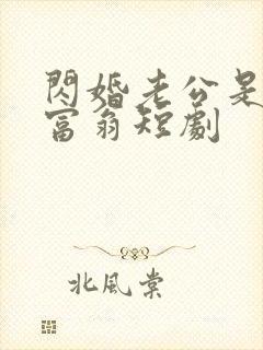 闪婚老公是亿万富翁短剧