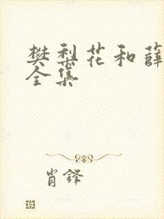 樊梨花和薛丁山全集