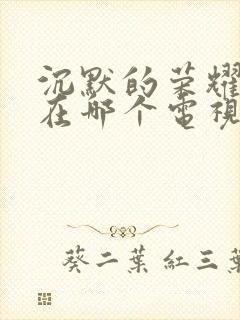 沉默的荣耀最近在哪个电视台播出