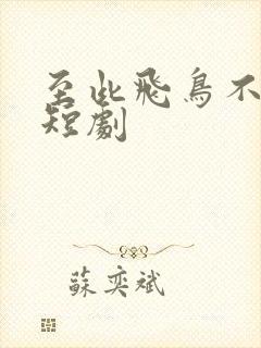至此飞鸟不相逢短剧