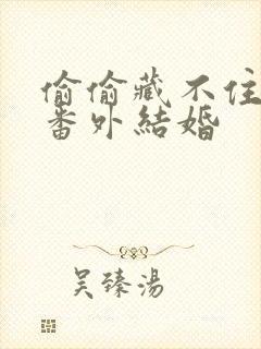 偷偷藏不住小说番外结婚