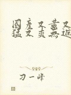 国产又黄又粗又猛又爽无遮挡